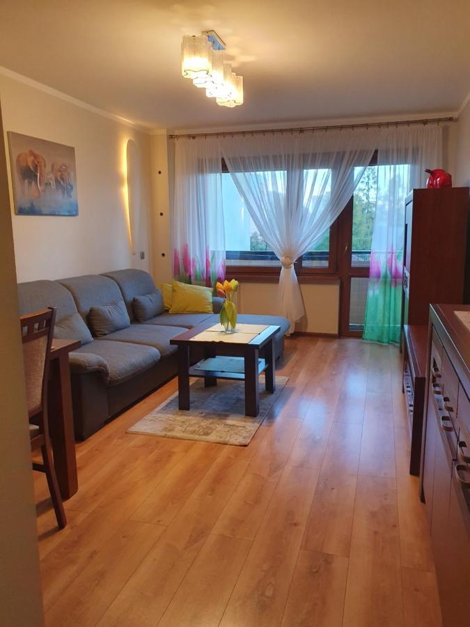 Apartament Daria Jaworzno Extérieur photo